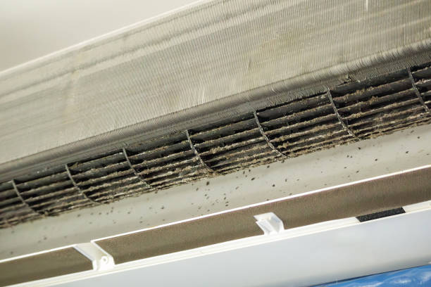 Best Home Air Vent Cleaning  in Wood River, IL